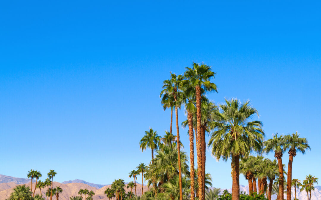 Detox Near Cathedral City, CA: How to Choose Medically Supervised Care