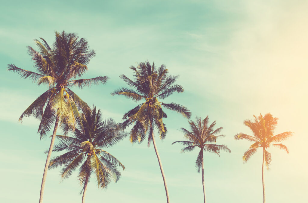 detox catherdral city ca