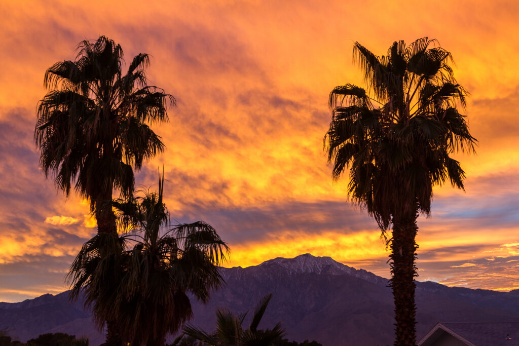 detox services cathedral city ca