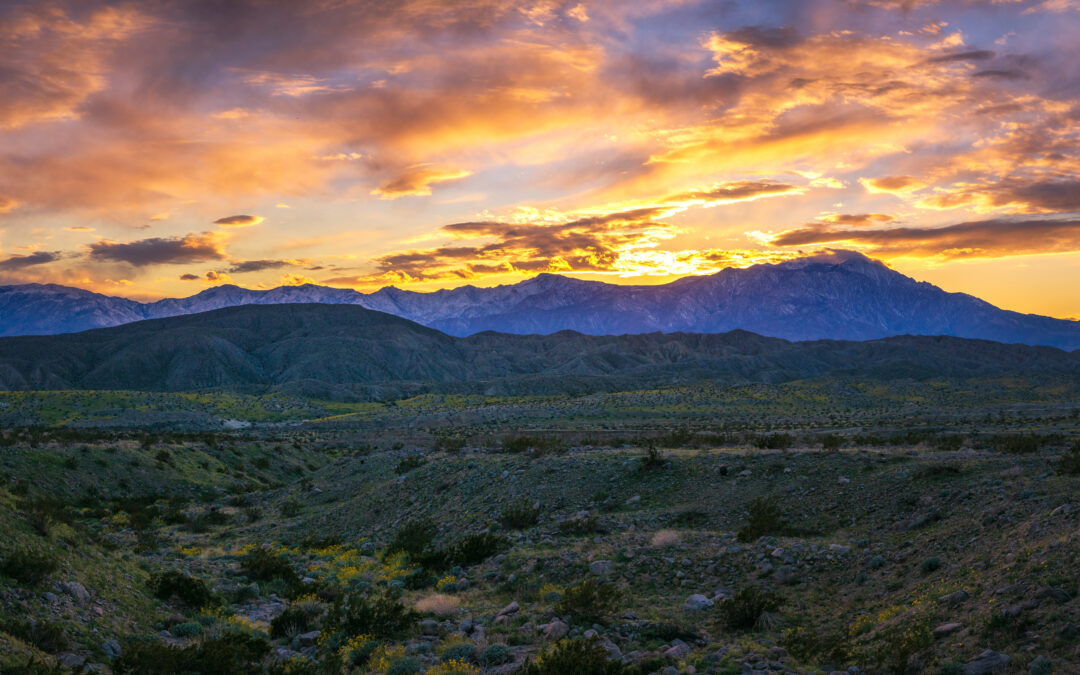 Detox in the Coachella Valley: A Local Guide for Palm Springs Area Families