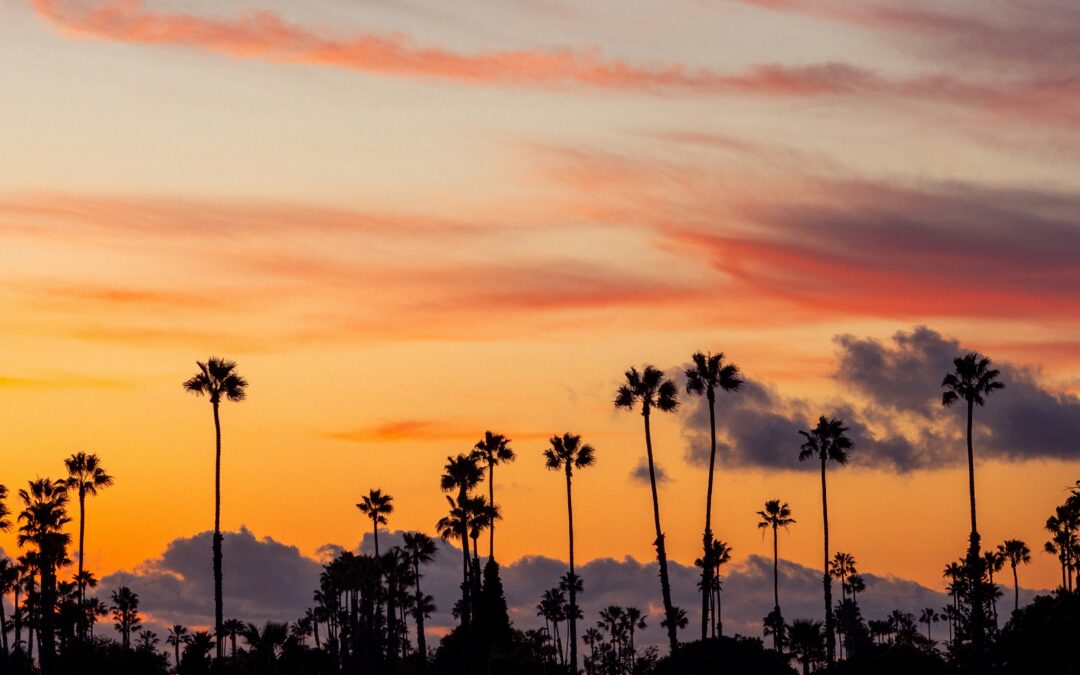 Detox Near Indio, CA: What to Do Today if Withdrawal Is Starting