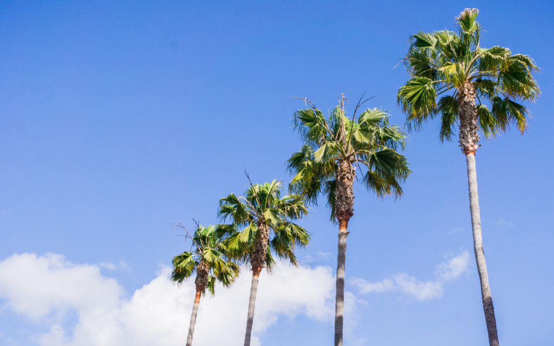 Detox in Rancho Mirage, CA: How to Choose a Private Medical Detox Program